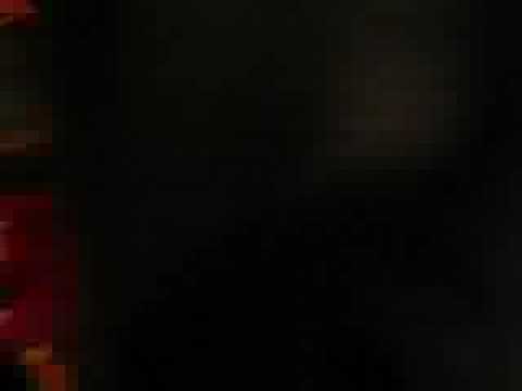 A Day at Swiss L'Abri - pt 3