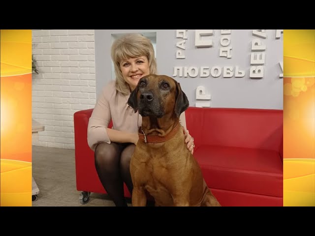 Живая среда