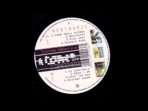 Neotropic - La Centinela