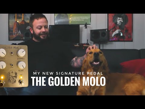 Immortone/Golden Molo /Tap Tempo Optical Tremolo /Josh Myers Signature image 8