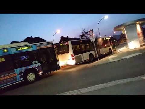 Trollybus TV #12 Ommibus Stau in Eimeldingen