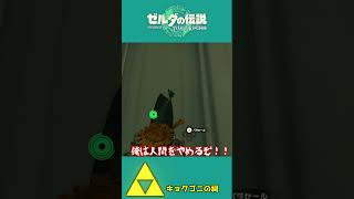【ティアキン】隙間が空いているではないか..行け！？【祠攻略】＃Shorts