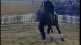 Video från Romancier