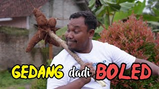 Download lagu GEDANG dadi BOLED || Film Pendek Ngapak mp3