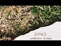 Garrison Starr - "Bones" As Heard on Queen Sugar