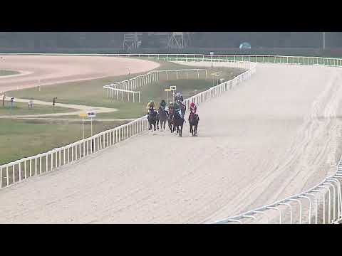 2022.11.20. 05. futam - AMATŐRVERSENY HENDIKEP (V/b.) (szintetikus pálya)