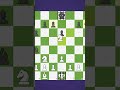 Chess, but the Kings Can't Move