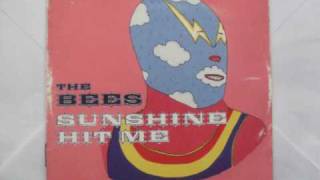 The Bees Lying in the Snow