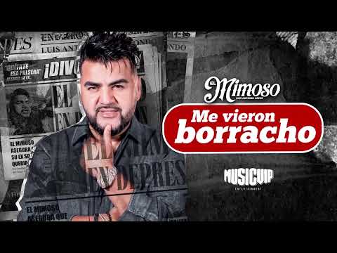 Miniatura de Me Vieron Borracho