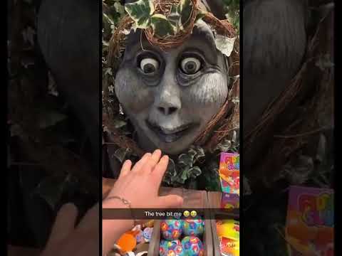 Der Baum hat mich gebissen 😭