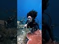 The Physics Of Beauty A Serene Dive With Incredible Underwater Hair AI Video