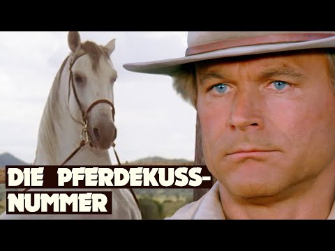 Ein neuer Sheriff in Daisy Town | Lucky Luke | Best of Bud Spencer & Terence Hill