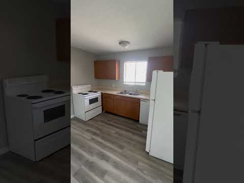 Courtyard Apartments | 1006 Salisbury Street Apt 1-B property video