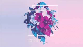 Blackbird Blackbird - It&#39;s A War