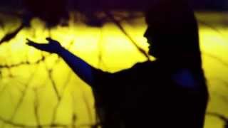 PEPPE ROCCARO DJ FEAT TIRALONGO   FIESTA Official Video