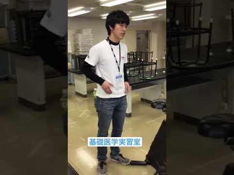 リハビリテーション学科 【キャンパスツアー】基礎医学実習室 （理学療法学専攻）【理学療法士】