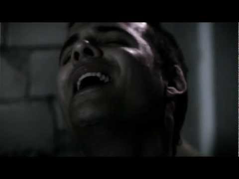 מייקל הרפז - הולך - הקליפ הרישמי   - Michael HarPaz - Holech