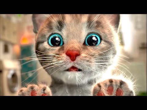Little Kitten Preschool Adventure Educational Games iOS Play Fun Cute Kitten Pet Care Learning
