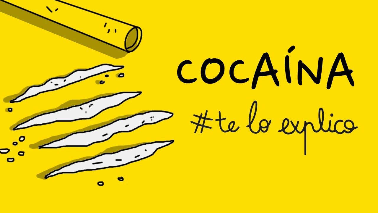 Todo lo que necesitas saber sobre la cocaína