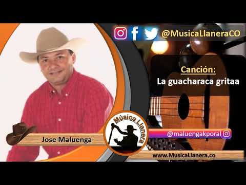 Jose Maluenga - La guacharaca gritaa | Musica Llanera
