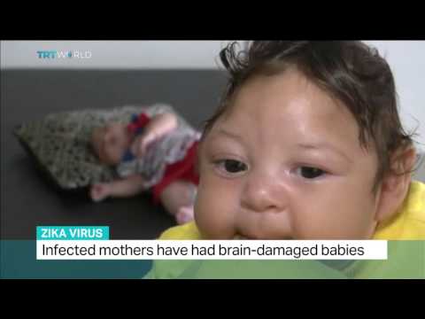 Debora Diniz talks to TRT World about Zika virus
