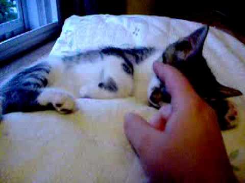 Jabber dead to the world