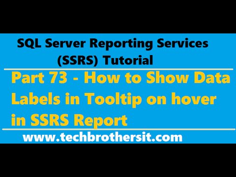 SSRS Tutorial 73 - How to Show Data Labels in Tooltip on hover in SSRS Report
