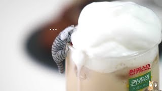 🥛 홈카페 영상 모음 5탄 🍦| 한세 HANSE