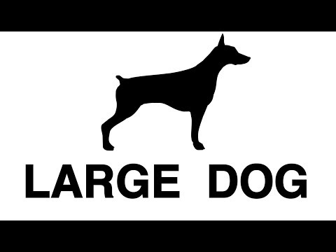A LARGE DOG Video