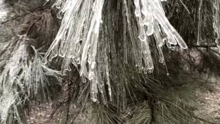 Jenn&#39;s Song - Bleach (Cover)