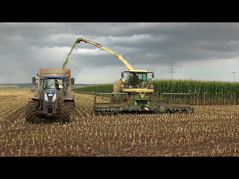 [Mais 2024]LU Schmerer Krone BigX1180 beim Mais Häckseln mit verschiedenen Abfahrern in der Wetterau