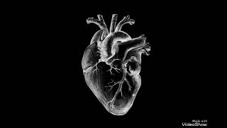 Nik Qistina - Young Hearts (Official Audio)