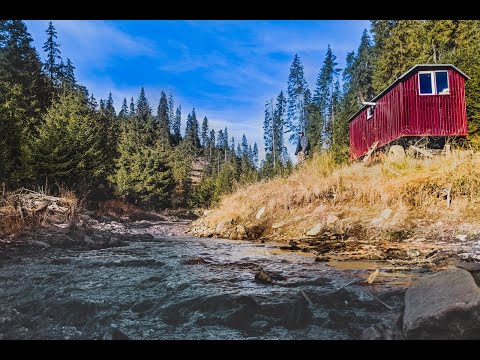 Aventuri culinare în butin