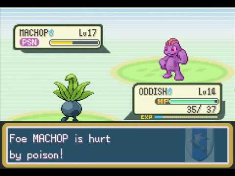 Guida pokemon lightning yellow parte 6-Misty Capopalestra.