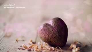 BEAT OF YOUR HEART || Hayley Westenra || Lyrics + Kara + Vietsub