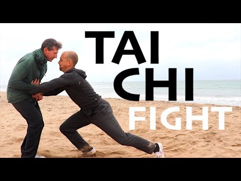 2 TAI CHI MASTERS FIGHT EACH OTHER!