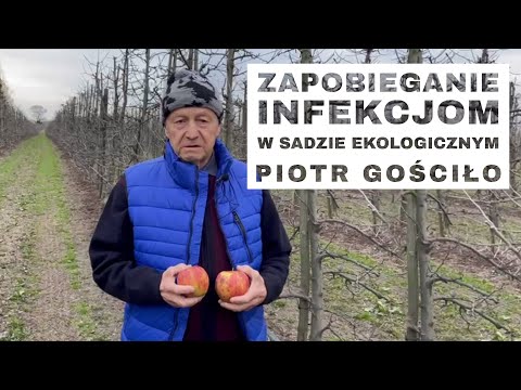 Komunikat sadowniczy Piotr Gościło odc. 18 Zapobieganie infekcjom w sadzie ekologicznym