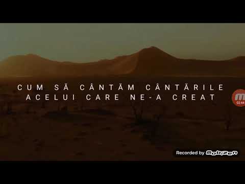 David Lela dor de Ierusalim