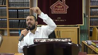 הרב אסף נחום שליט"א פלא יועץ-פרשת קרח א' תמוז תשפ"א