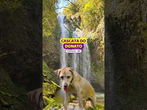 😱ATENÇÃO nas pedras na #cascatadodonato #itapuca