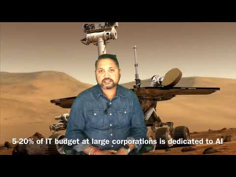 Mr. Aditya Satsangi, CEO at multiple IT Companies in California