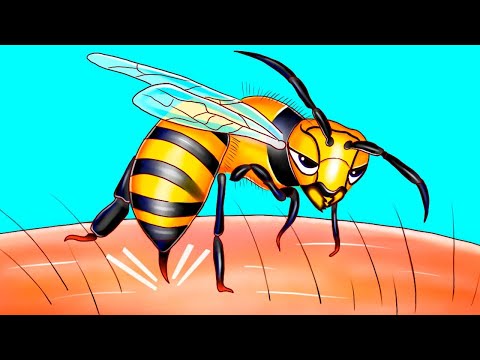 , title : 'İşte Bu Yüzden Arılar Sadece Bir Kere Sokabilir'