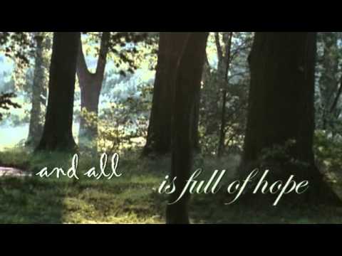 Pinesong - A Fine Frenzy