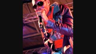 Vybz Kartel - Fallen Angel