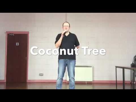 ABSOLUTE BEGINNER LINE DANCE LESSON 28 - Coconut Tree