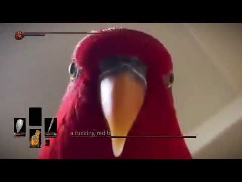 Dark souls. Red bird meme. #shorts
