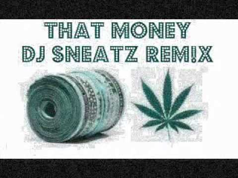 DJ Irwan Feat. Lil Wayne, Addy van der Zwan & R3hab- That Money (DJ Sneatz Remix)