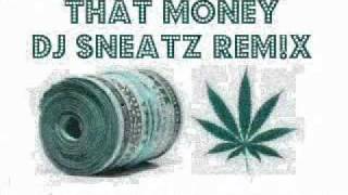 DJ Irwan Feat. Lil Wayne, Addy van der Zwan & R3hab- That Money (DJ Sneatz Remix)
