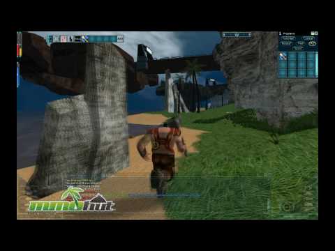 anarchy online pc