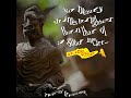 Powerful Buddha quote that can change ur life Think positive #buddha #buddhaquotes #buddhateachings